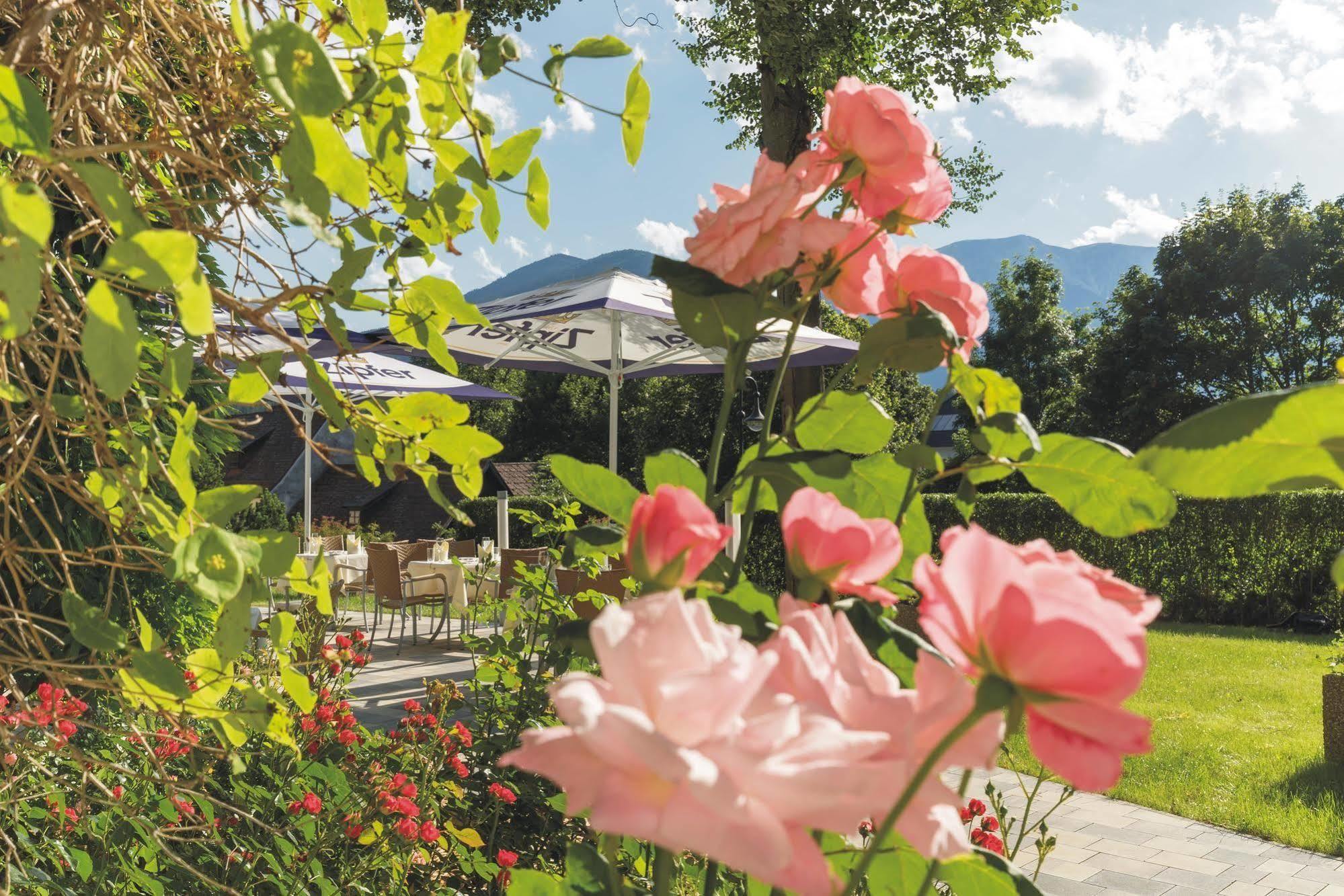 Hotel Schneeberghof Puchberg am Schneeberg Esterno foto